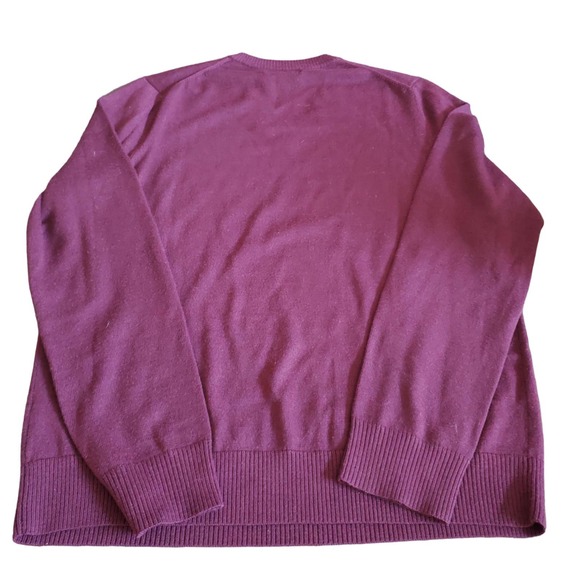 Banana Republic V-neck‎ 100% Merino extra fineWool Sweater Men's Sz M Red - Picture 2 of 4